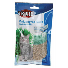 Herbe à chat 100g