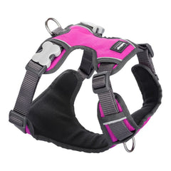 Harnais pour Chien Fuchsia du XS au L